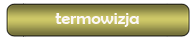 badania termowizyjne